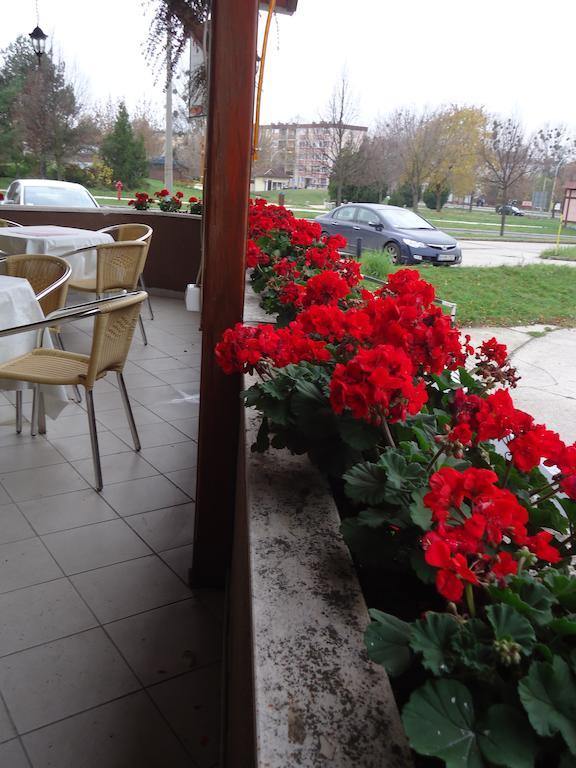 Czermann Panzio Es Etterem Hotel Oroszlany Exterior photo